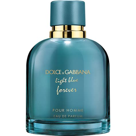 dolce gabbana perfume light blue pour homme|light blue pour homme fragrantica.